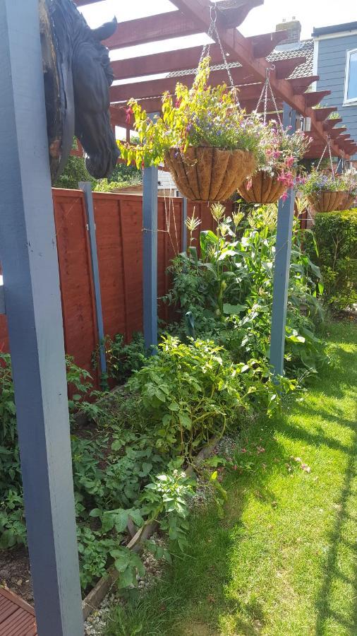 Mango Lodge Herne Bay Bagian luar foto